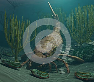 Eurypterus Hunting Trilobites in a Silurian Sea photo