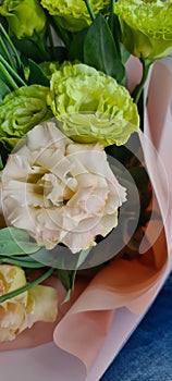 Eustoma flower, Lisianthus green and beige. Plants for bouquets. Floristics