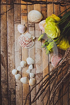 Eustoma and seashells in the shape of heart