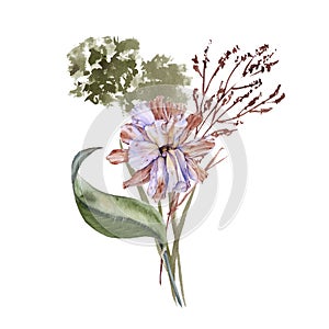 Eustoma. wilted flower. Isolated on a white background.