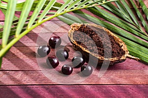 Euterpe oleracea - Acai berry powder in bowl