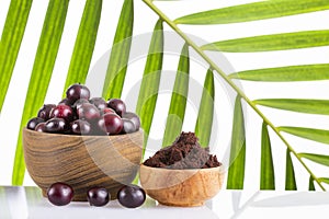 Euterpe oleracea - Acai berry powder in bowl