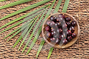 Euterpe oleracea - Acai Fruit Of The Palm Manaca