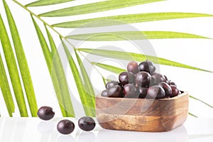 Euterpe oleracea - Acai Fruit Of The Palm Manaca
