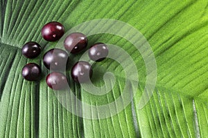 Euterpe oleracea - Fresh organic acai berries