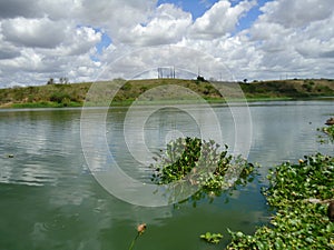 Eutrophication in Brazilian river