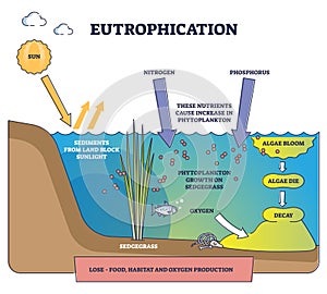 Eutrophication process explanation and water pollution stages outline diagram photo