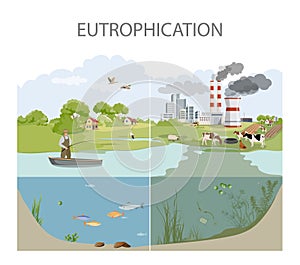 Eutrophication and Water Pollution illustration