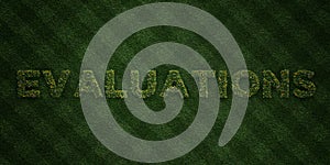 EVALUATIONS - fresh Grass letters with flowers and dandelions - 3D rendered royalty free stock image