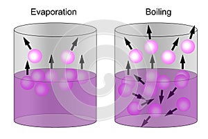Evaporation and boiling point of liquids