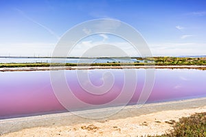 Evaporation pond used in the production of salt in Sunnyvale, South San Francisco Bay Area, California; Salt-tolerant micro-algae