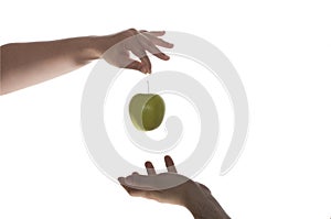 Eve adam and green apple