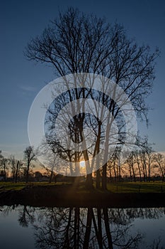 Evening along the Dender