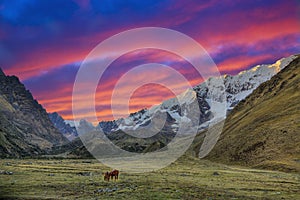 Evening in the Andes