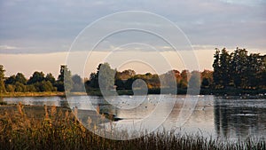 evening atmosphere at the small lake with colorful autumn trees of De Vilt, Beugen in the Netherlands