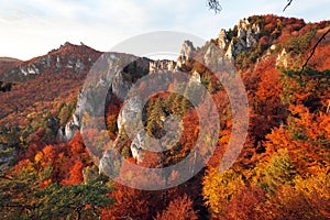 Evening autumnal red colored view from Sulov rockies