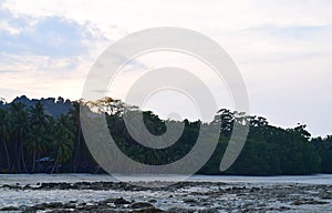 An Evening at Beach during Low Tide with Coconut Trees and Bright Sky - Vijaynagar Beach, Havelock Island, Andaman Islands, India