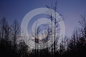 `In the Evening` Blue Ridge Mountains at sunset in the early spring