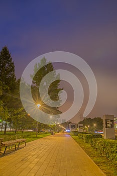 Evening city Krylatskoe alley trees night landscape