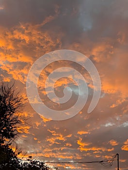 Evening clouds illuminated by the setting sun