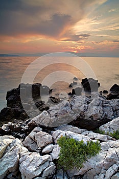 Evening coastline