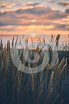 Evening at the danish coast at Blokhus