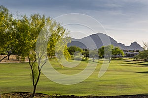 Evening falls over the Scottsdale Greenbelt Park and Camelback Mountain