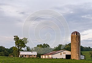 Evening Farmland