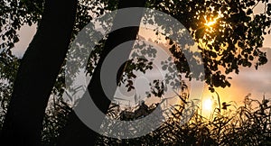 Lake, water, fishing, decline, sky, evening, village.