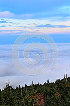 Evening Fog North Carolina