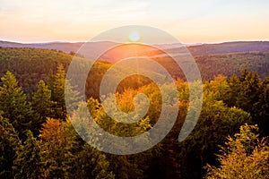 Evening forestscape from above