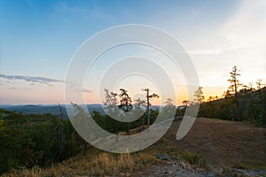 Evening sunset nature landscape. Pines, rocks and grass