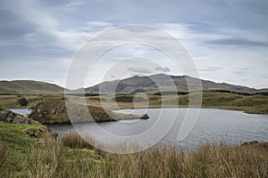 Evening landscape image of Llyn y Dywarchen lake in Autumn in Sn