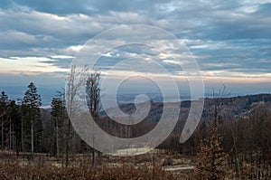 Landscape with forest and beautiful dramatic sky at sunset