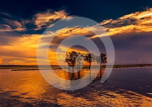 Evening Landscape picture of the Chobe River at the Chobe National Park in Botsuana photo