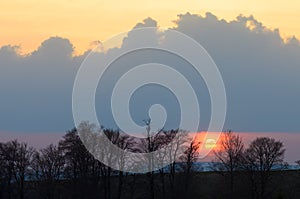 Sunset behind the trees