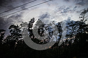 evening landscape silhouette of trees and stormy low sky