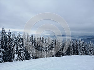 Evening landscape and ski resort