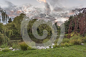 evening landscape at sunset of the day in a city park with a lake, trees, bushes and grass