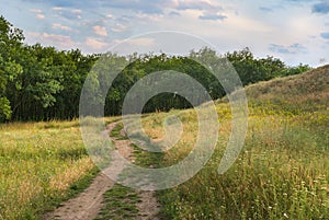 Evening landscape in Ukrainian rural area