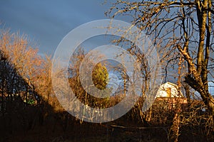 An evening leafless autumn garden illuminated by the setting sun. The building shadow obscures the left side of the image.