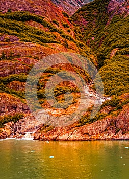Evening Light on an Alaskan Mountain Stream