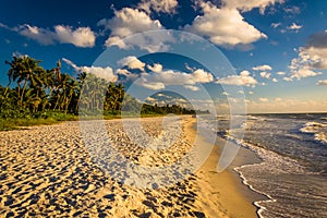 Evening light at the beach in Naples, Florida.