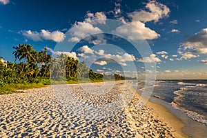 Evening light at the beach in Naples, Florida.