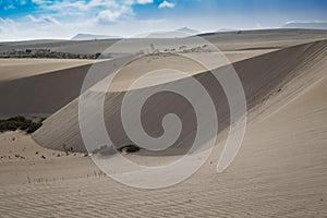 Evening light creating beautiful textures and patterns in the sand in the natural park Corralejo Fuerteventura Canary Islands