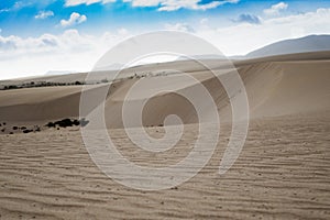 Evening light creating beautiful textures and patterns in the sand in the natural park Corralejo Fuerteventura Canary Islands