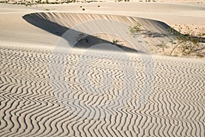 Evening light creating beautiful textures and patterns in the sand in the natural park Corralejo Fuerteventura Canary Islands