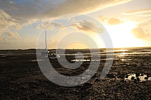 Evening Light On The Estuary