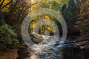 Evening light on the Gunpowder River in Gunpowder Falls State Pa