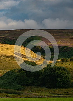 Evening light on Northumberland hills in summer